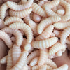 Fishing Lure 50Pcs 2Cm 0.3g Maggot Grub Soft Lure